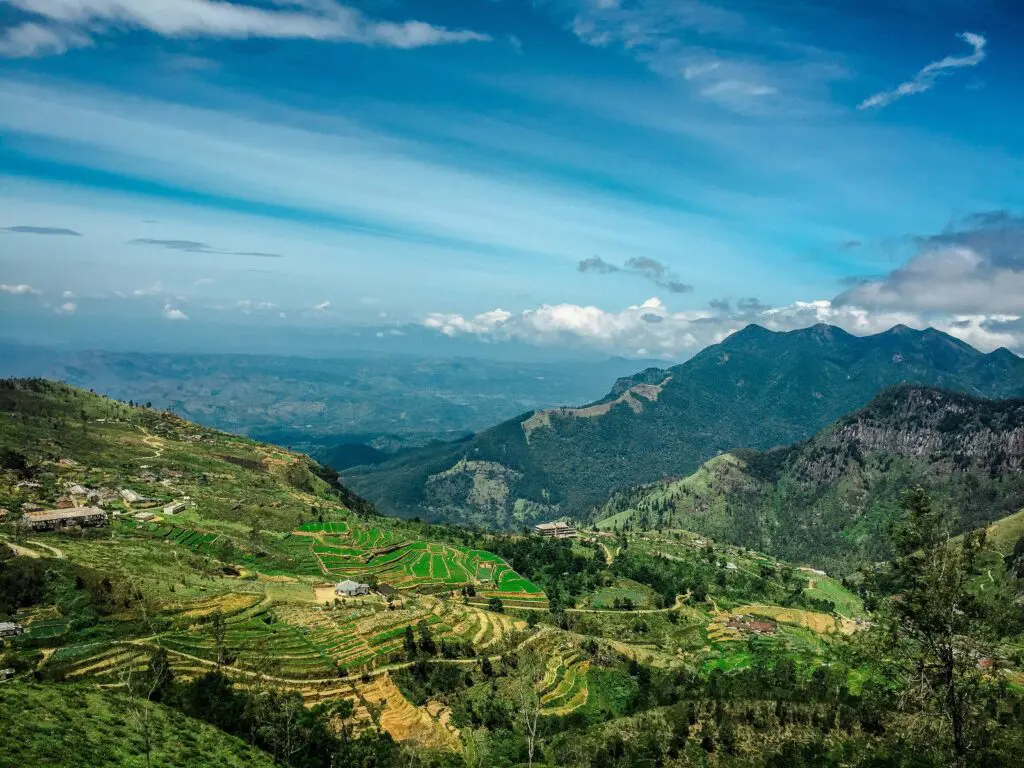 pexels-dunanjaya-amith-105200682-9505333