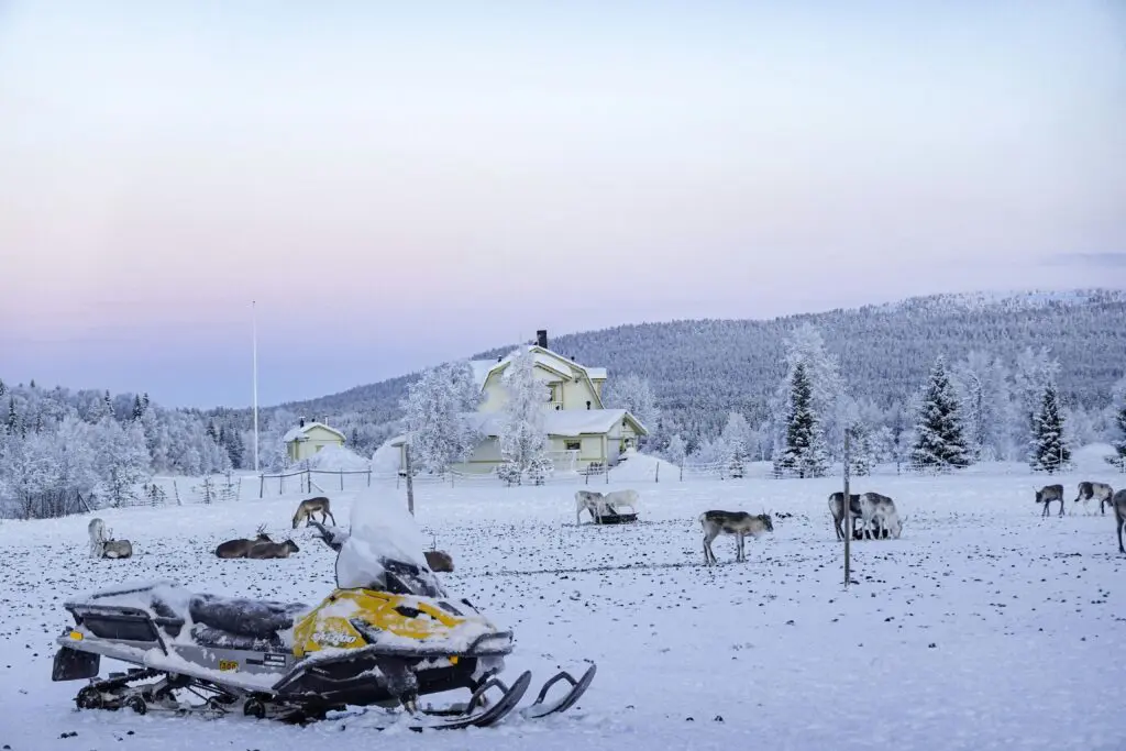 pexels-eva-kristiansson-2156739296-35828483