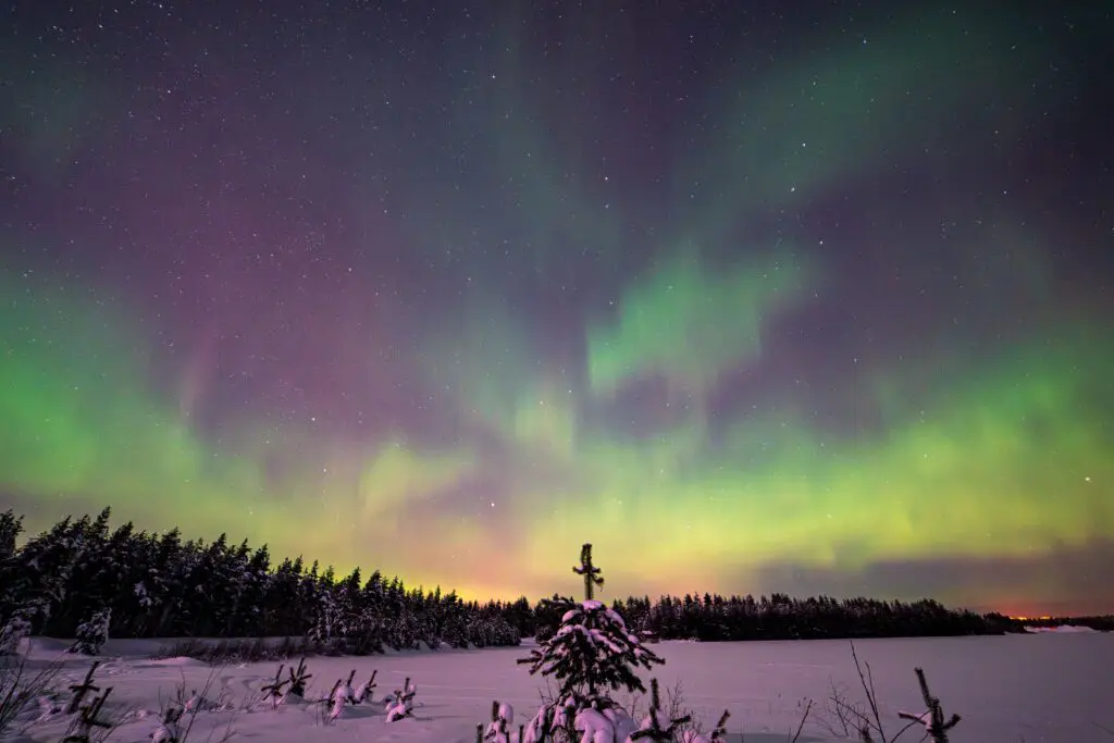 pexels-markku-soini-346079267-36628426