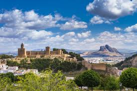 download-5 download-5