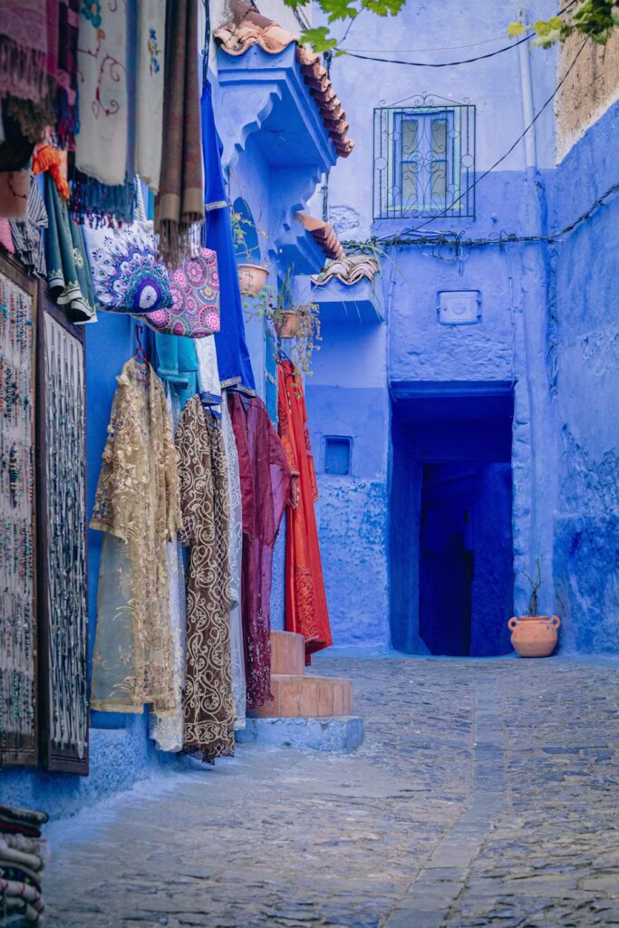 photo-1731158185203-c23b653d7c6e