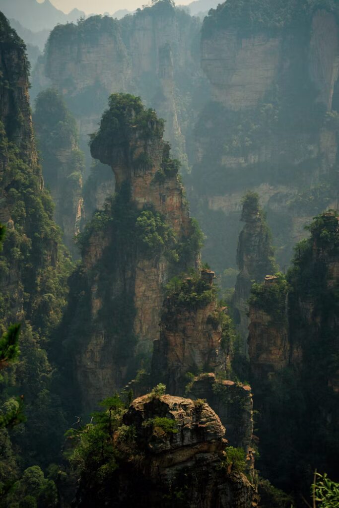 photo-1743091451328-d7f31409cd89