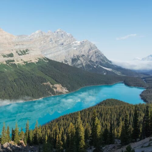 photo-1576547756401-f9e122d87431