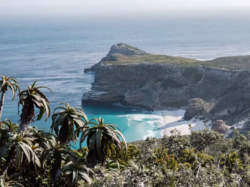 photo-1663585805777-167548029c16