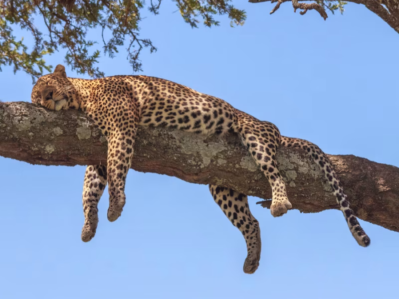 photo-1688373317291-2f273bc7dc6c