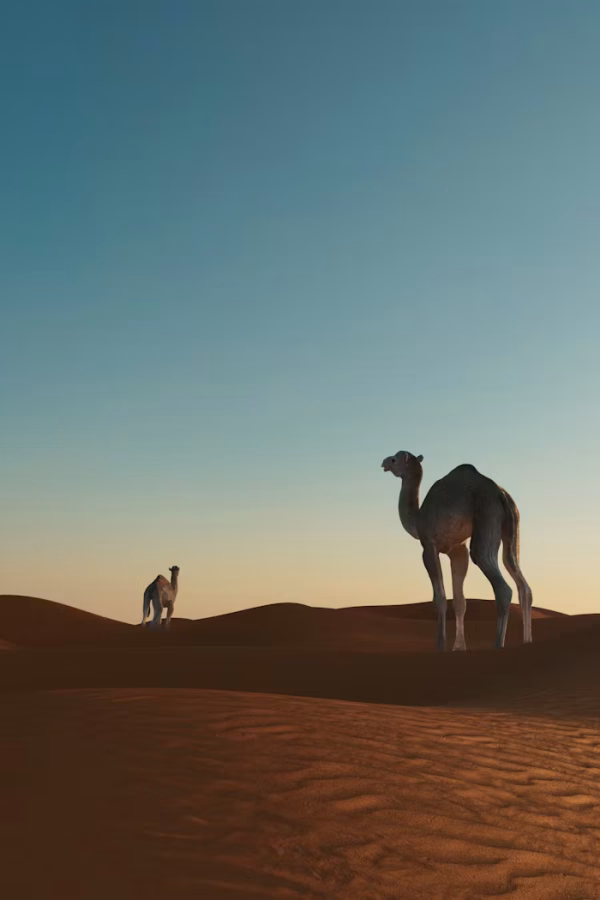 premium_photo-1724459312038-caa90d9ab7e5 premium_photo-1724459312038-caa90d9ab7e5