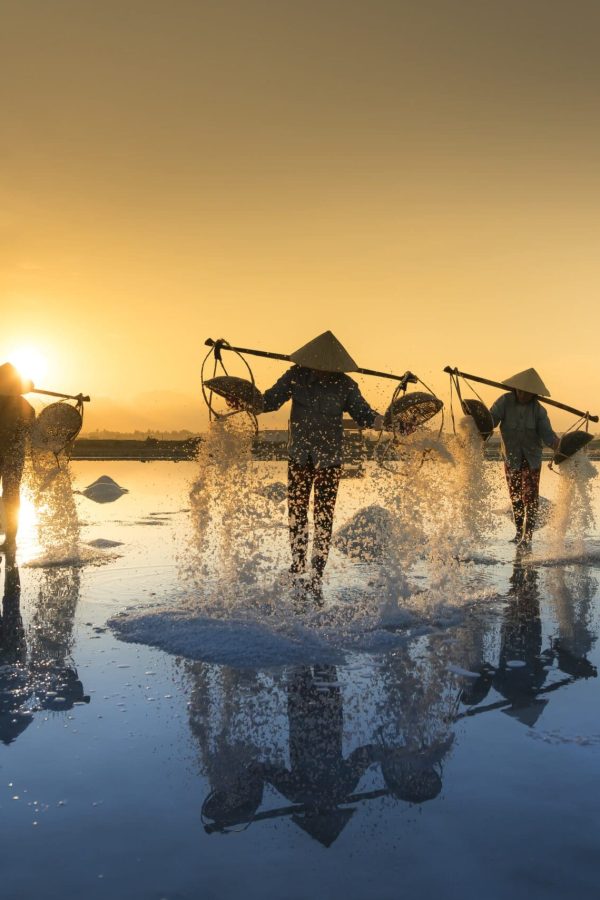 quangpraha-salt-harvesting-3060093