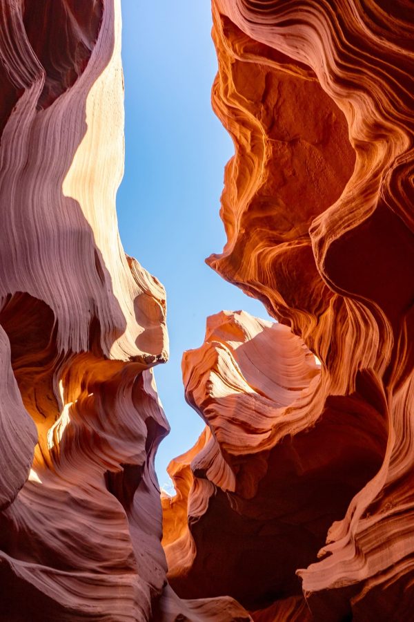 treptoweralex-usa-9889579_1920